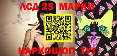 эйфоретик Новокубанск