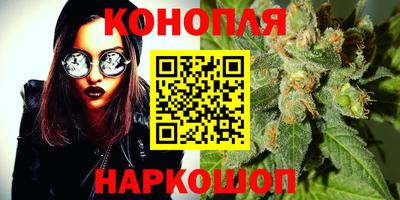 эйфоретик Новокубанск